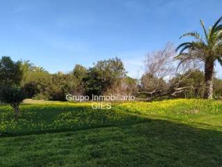 Jardín