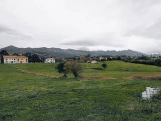 Vistas