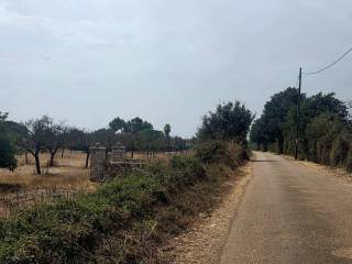 Vistas
