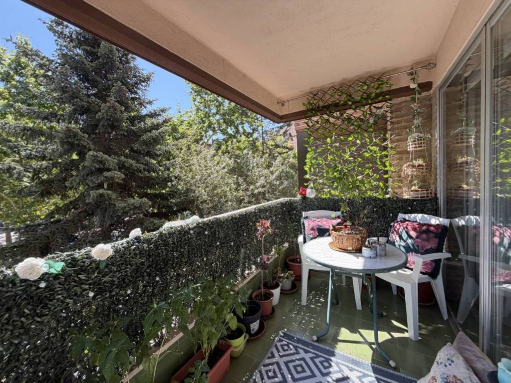 Terraza