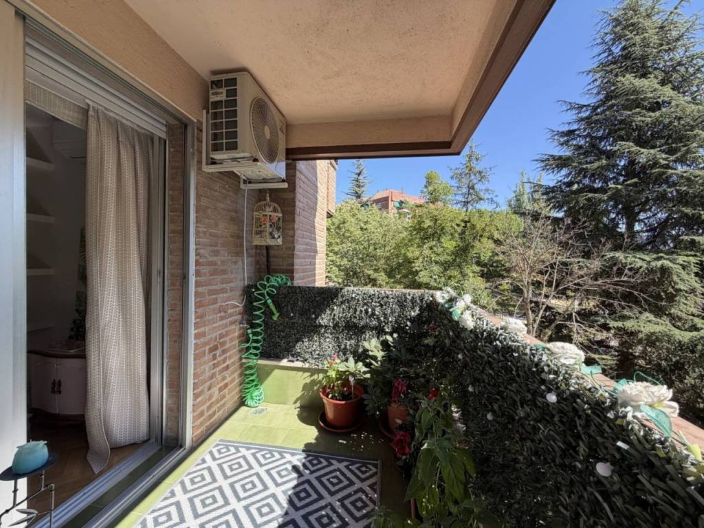 Terraza