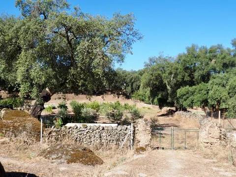 Jardín