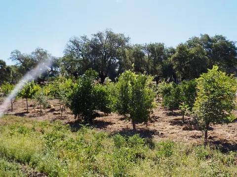Jardín