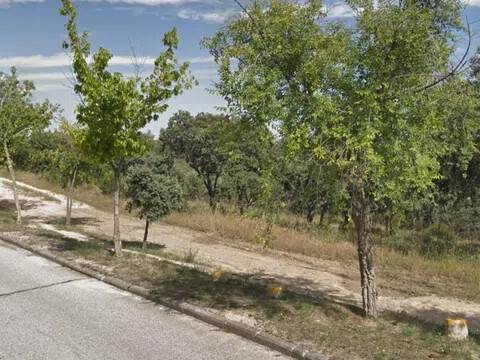 Jardín