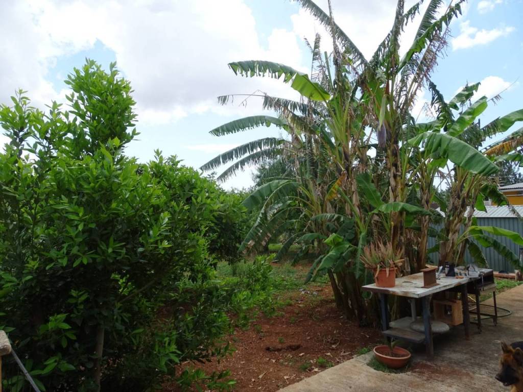Jardín