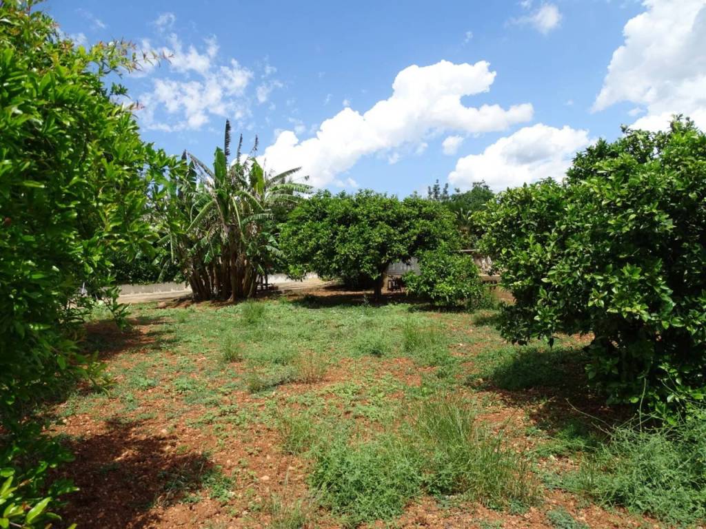 Jardín