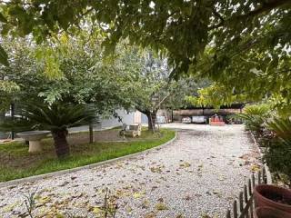 Jardín