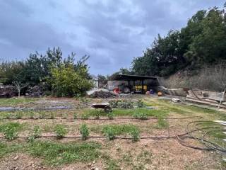 Jardín
