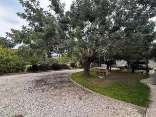 Jardín