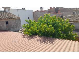 Jardín