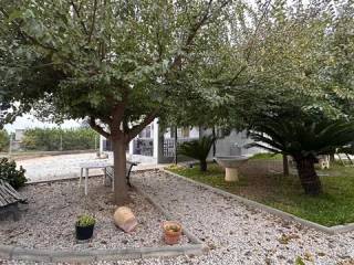 Jardín