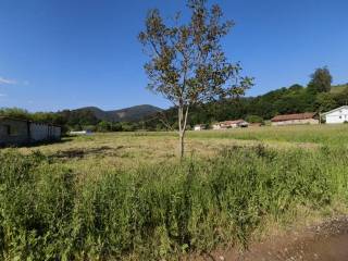 Vistas