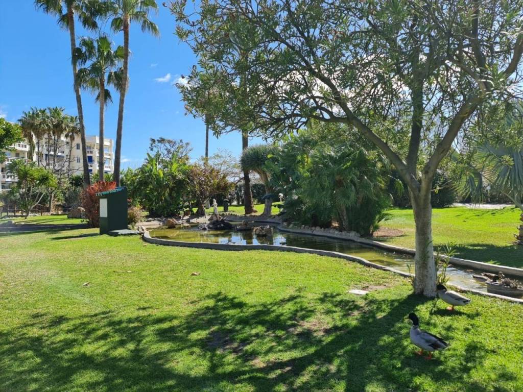 Jardín