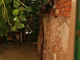 Jardín