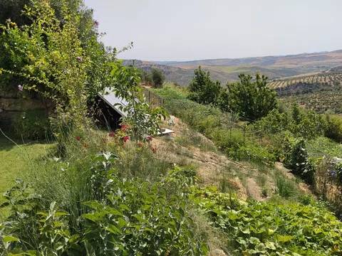 Vistas