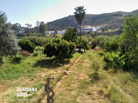 Jardín