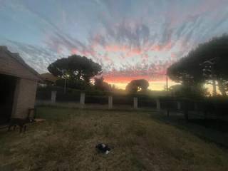 Jardín