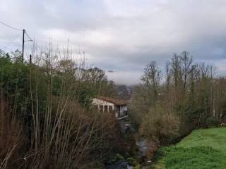 Jardín