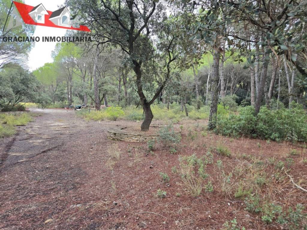 Jardín