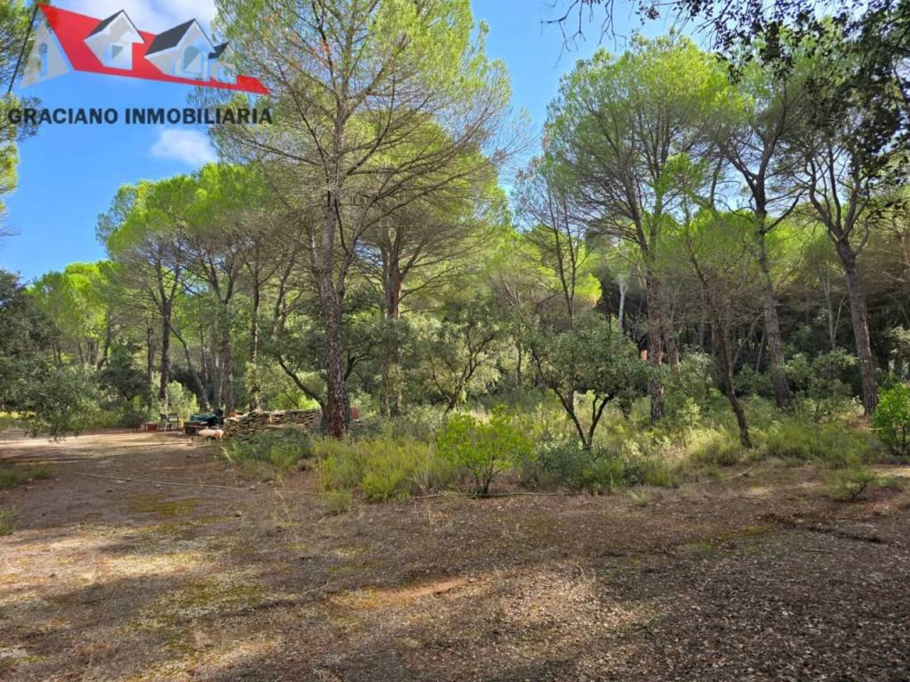 Jardín