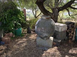 Jardín