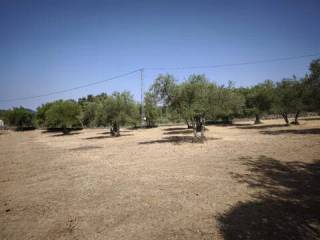 Jardín
