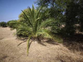 Jardín
