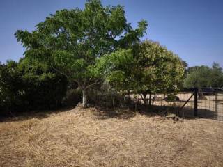 Jardín