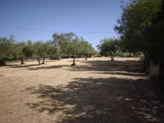 Jardín