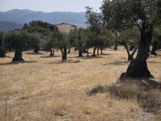 Vistas