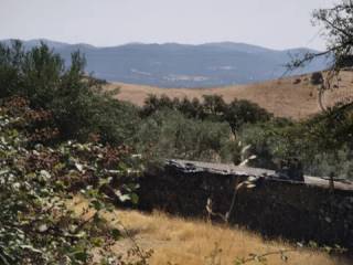 Vistas