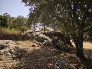 Jardín