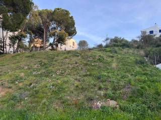 Jardín