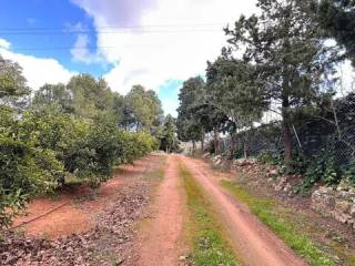Jardín