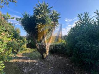 Jardín
