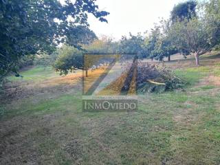 Jardín