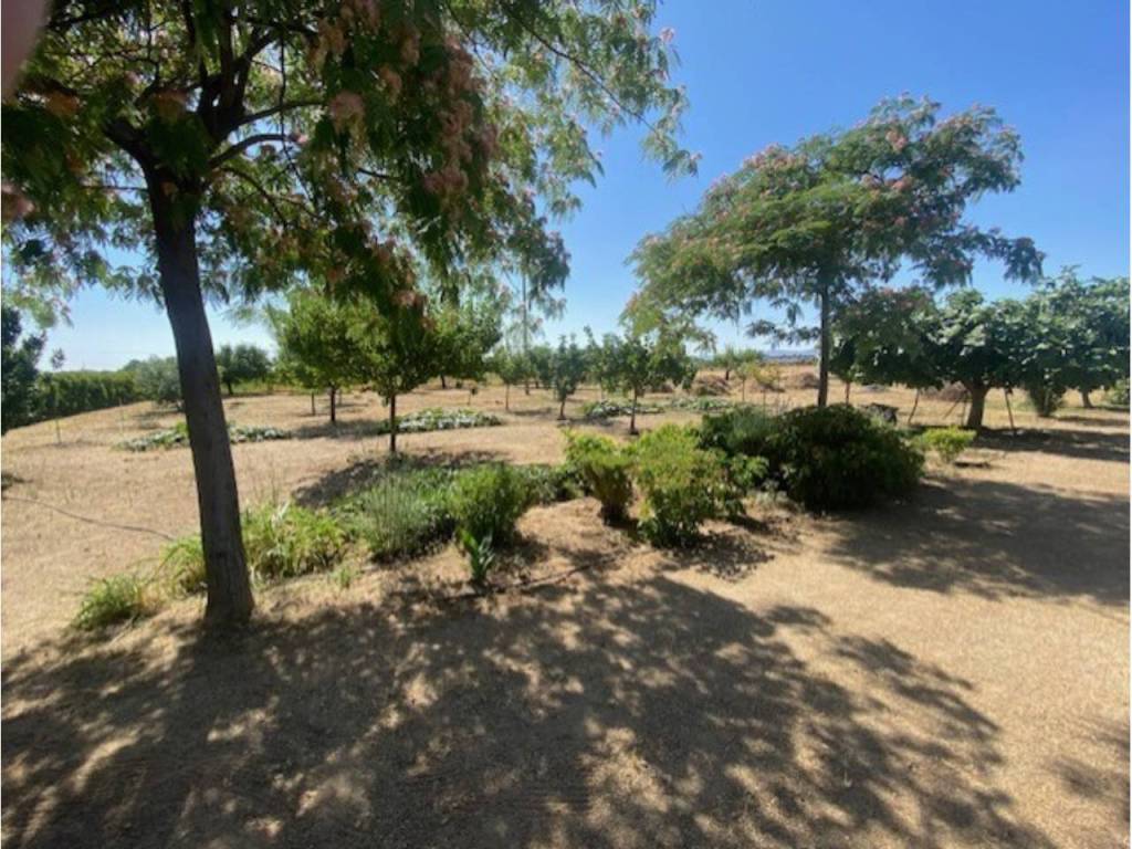 Jardín