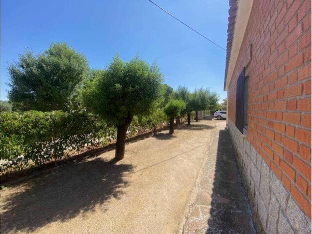 Jardín