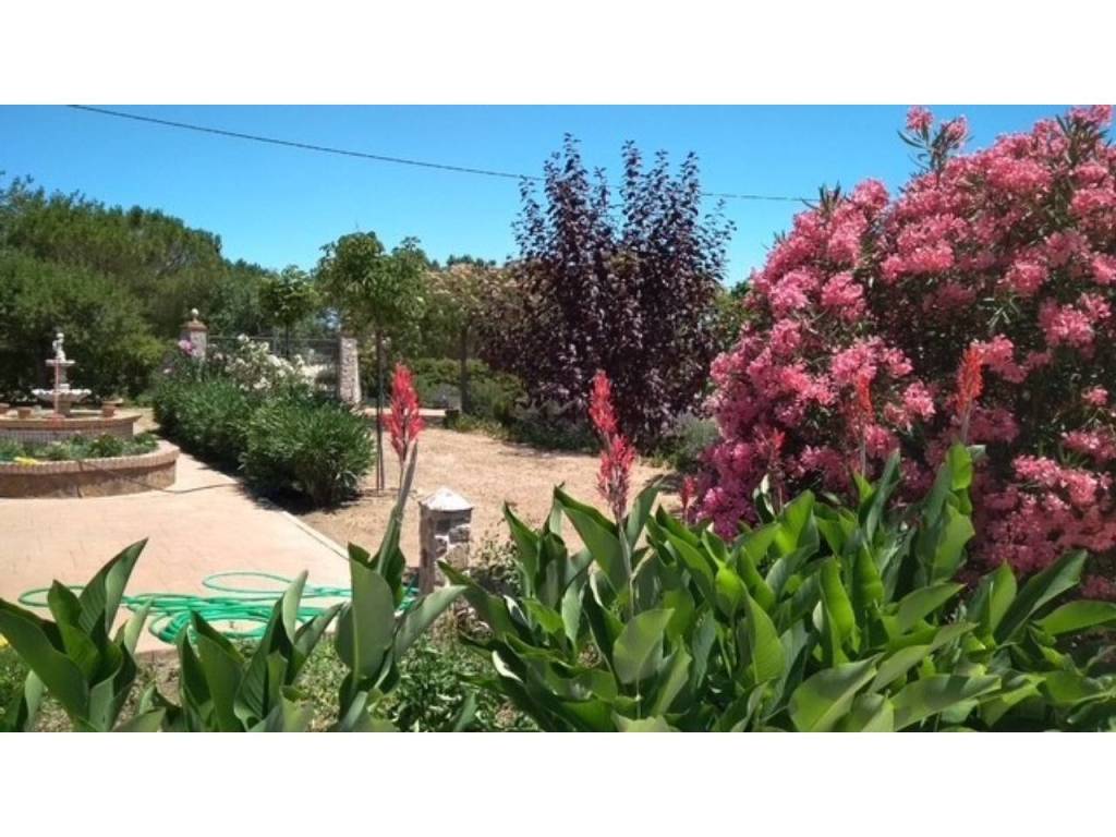 Jardín