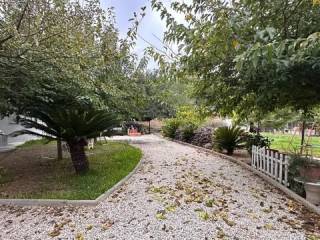 Jardín
