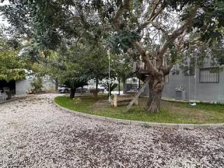 Jardín