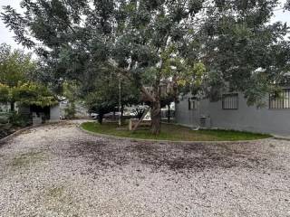 Jardín