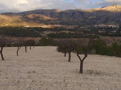 Vistas