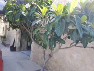 Jardín