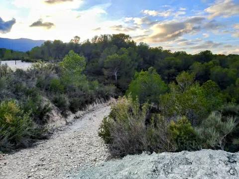 Vistas