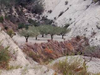Vistas