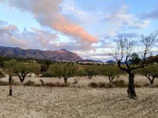 Vistas