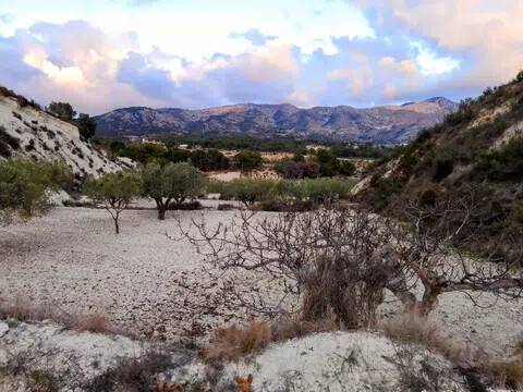 Vistas