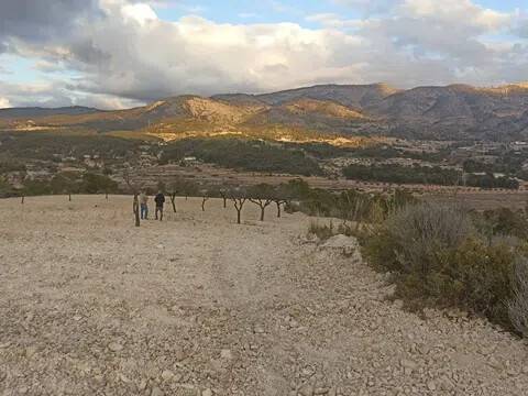 Vistas
