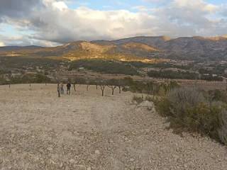 Vistas